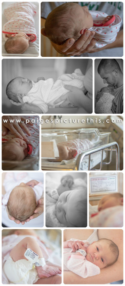 Picture This Photography | www.paigespicturethis.com | baby girl in hospital infant fresh 24